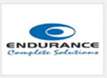 Endurance Logo